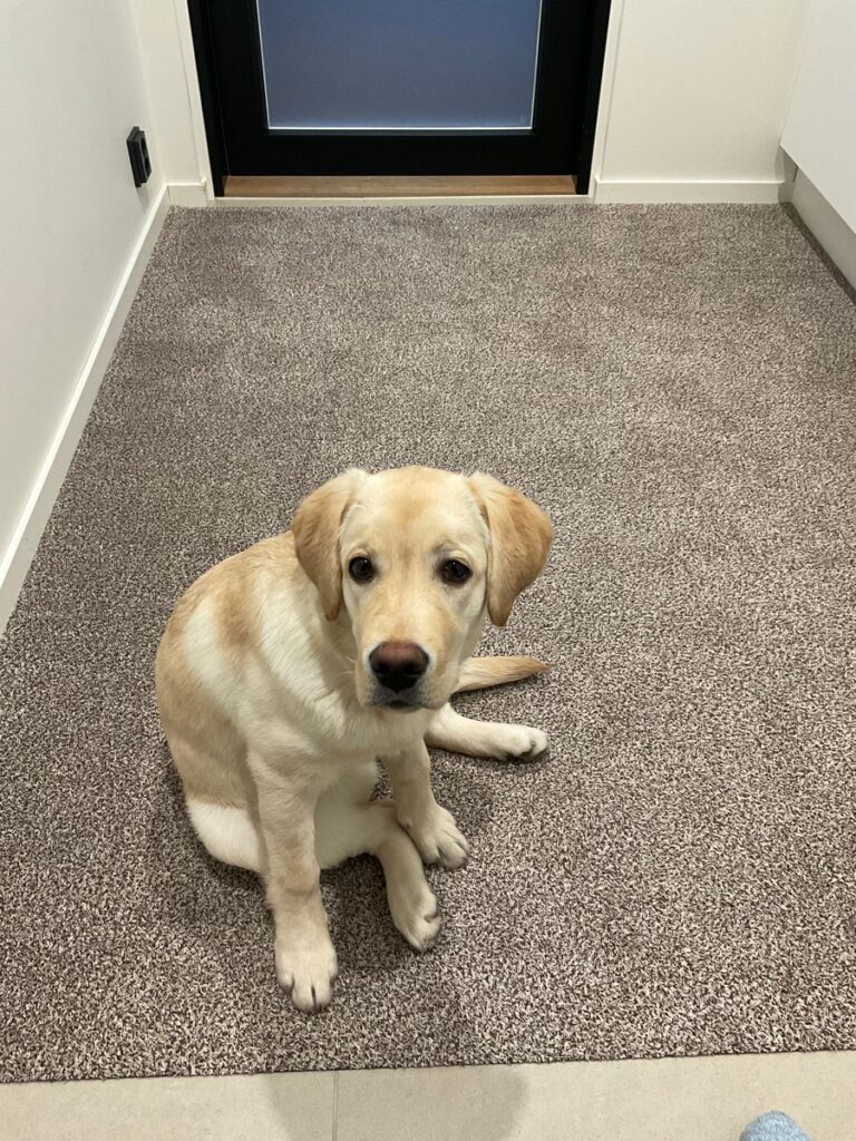 Image #1 from Mika Y.