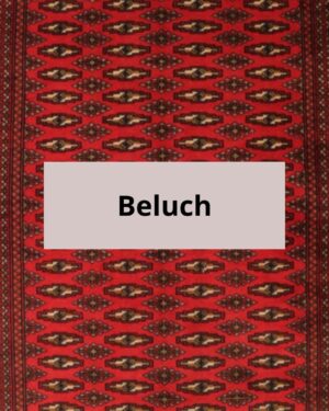 Beluch