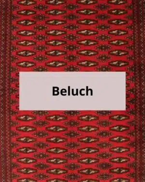 Beluch