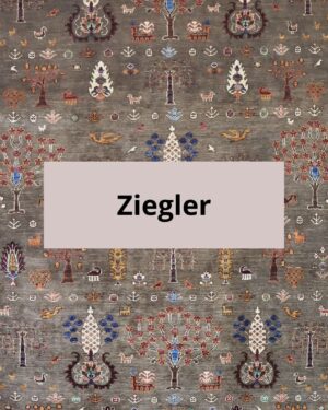 Ziegler