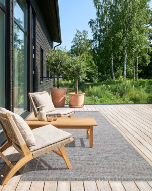 Summer Amaryllis red