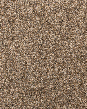 Soft Sense beige kuramatto